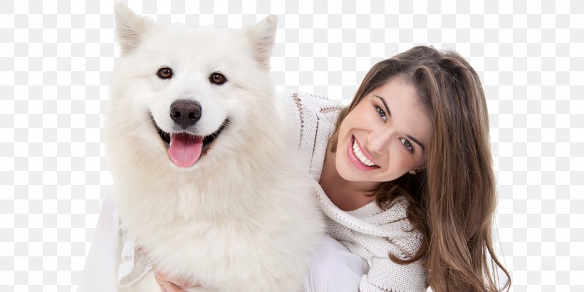 Dog Grooming Pet Sitting Coat, PNG, 1200x600px, Dog, Business, Carnivoran, Cat, Coat Download Free