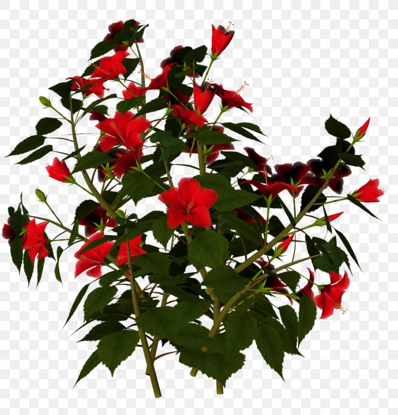 Flowering Plant Flowering Plant Hibiscus, PNG, 940x979px, Flower, Annual Plant, Color, Cut Flowers, Flower Garden Download Free