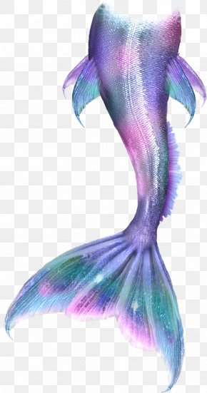 Mermaid,tail - Mermaid Merliah Summers Merman Clip Art PNG