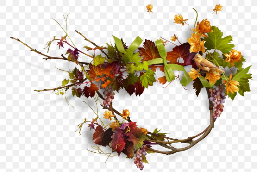 Autumn Photography Clip Art, PNG, 800x551px, Autumn, Branch, Dots Per Inch, Floral Design, Flower Download Free