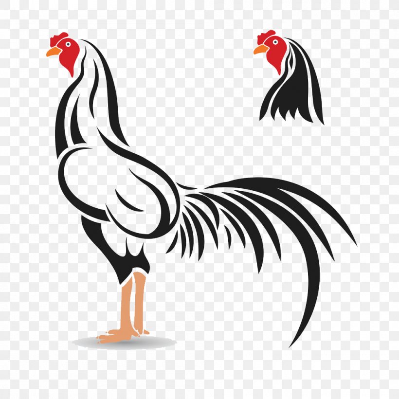 Cockfight Rooster Illustration, PNG, 1000x1000px, Cockfight, Art, Beak, Bird, Chicken Download Free
