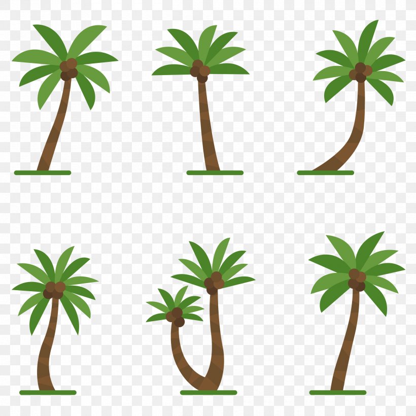 Coconut Oil Palm Trees Image Clip Art, PNG, 2500x2500px, Coconut, Arecales, Coconut Oil, Drawing, Flower Download Free