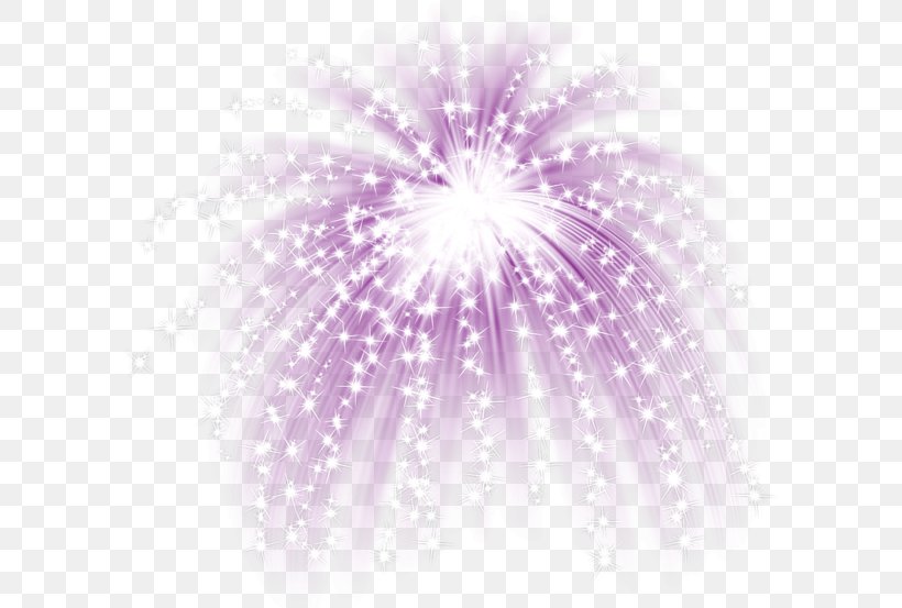 Fireworks Clip Art, PNG, 600x553px, Fireworks, Close Up, Flower, Image File Formats, Lilac Download Free