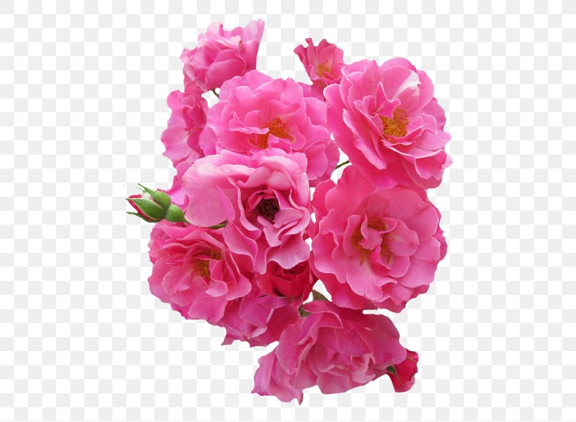 Garden Roses Pink Flowers Clip Art, PNG, 500x601px, Rose, Annual Plant, Artificial Flower, Blossom, Cut Flowers Download Free