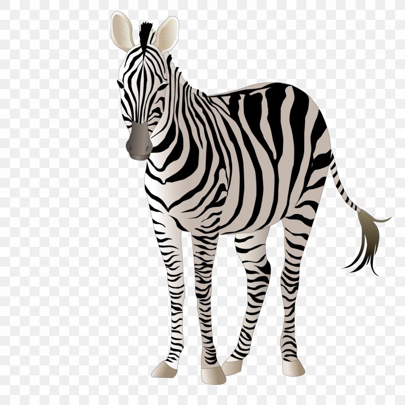 Giraffe Okapi Zebra Adobe Illustrator, PNG, 1500x1501px, Giraffe, Animal, Animal Print, Black And White, Head Download Free