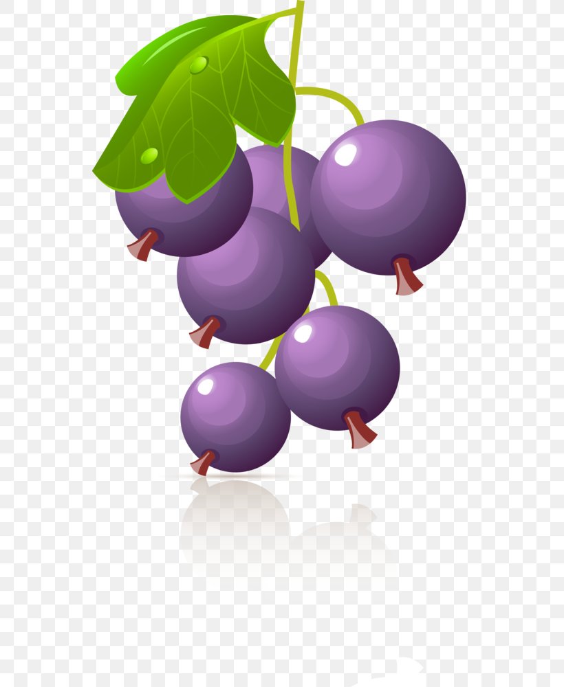 Grape Berry Clip Art, PNG, 552x1000px, Grape, Auglis, Berry, Blueberry, Cartoon Download Free