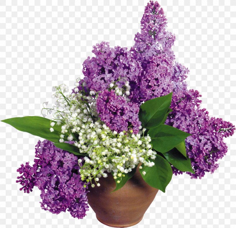 Lilac Flower Desktop Wallpaper Floral Design, PNG, 1059x1024px, Lilac, Annual Plant, Color, Cut Flowers, Floral Design Download Free
