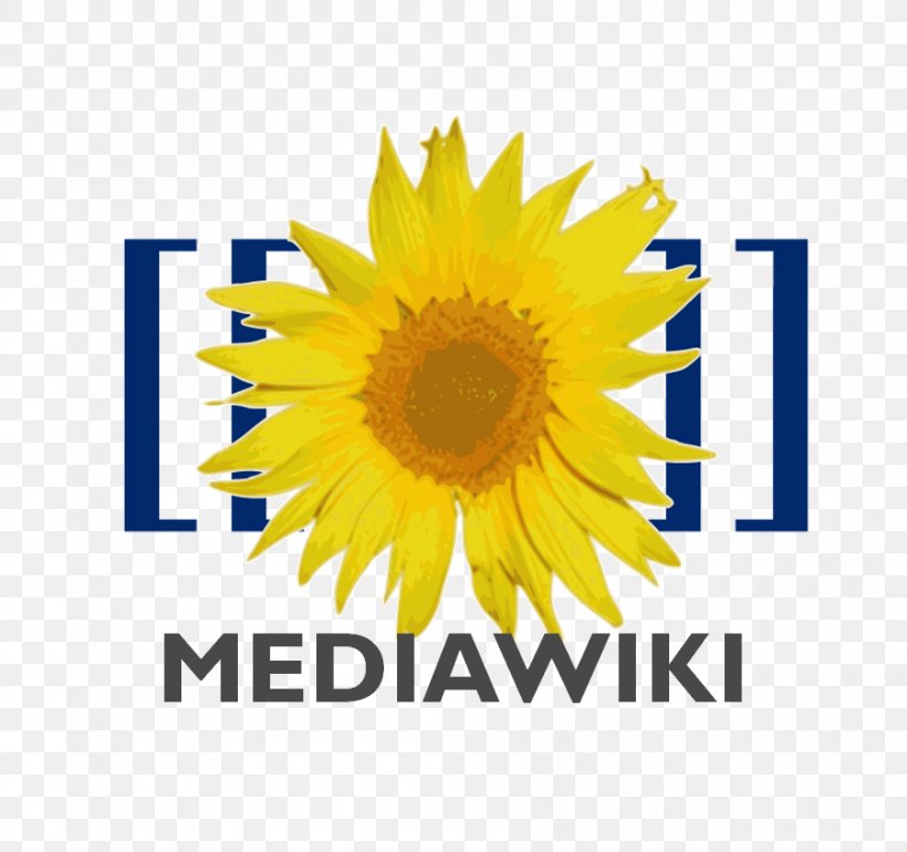 MediaWiki XAMPP Wiki Software Wikimedia Foundation, PNG, 900x846px, Mediawiki, Brand, Content Management System, Cut Flowers, Daisy Family Download Free
