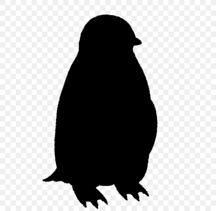 Penguin Clip Art Beak Fauna Silhouette, PNG, 572x800px, Penguin, Beak, Bird, Black M, Fauna Download Free