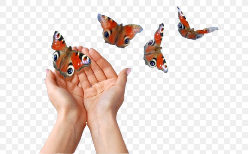 Butterfly Money Stock Photography, PNG, 2560x1600px, Butterfly, Business, Butterfly Gardening, Company, Finger Download Free