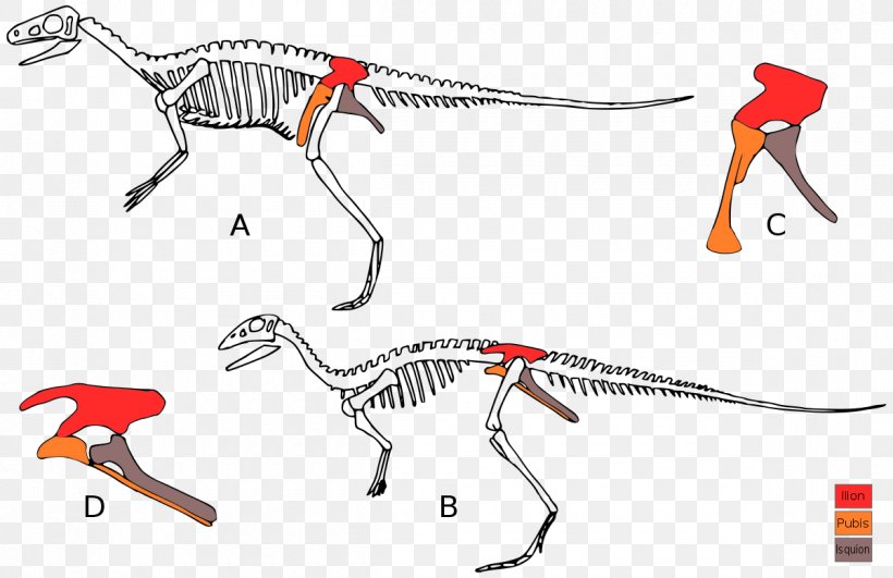 Eoraptor Lunensis Lesothosaurus Deinocheirus Triceratops Ornithischia, PNG, 1200x778px, Eoraptor Lunensis, Animal Figure, Area, Deinocheirus, Diapsid Download Free
