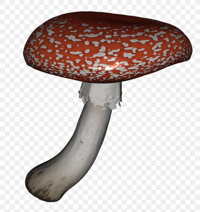 Mushroom Clip Art Image Design, PNG, 1412x1500px, Mushroom, Table Download Free