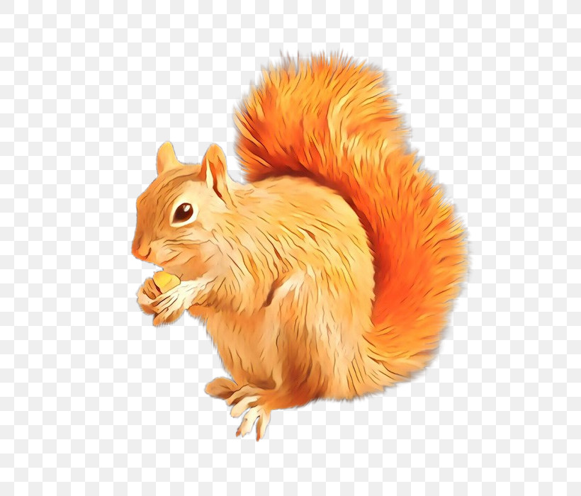 Squirrel Eurasian Red Squirrel Fox Squirrel Tail Animal Figure, PNG, 700x700px, Squirrel, Animal Figure, Eurasian Red Squirrel, Fox Squirrel, Tail Download Free