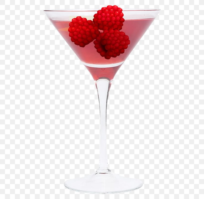 Cocktail Garnish Martini Wine Glass Mojito, PNG, 514x800px, Cocktail Garnish, Champagne Glass, Champagne Stemware, Cocktail, Cocktail Shaker Download Free