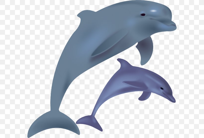 Common Bottlenose Dolphin Spinner Dolphin Free Content Clip Art, PNG, 600x556px, Common Bottlenose Dolphin, Aquatic Animal, Blog, Bottlenose Dolphin, Coloring Book Download Free