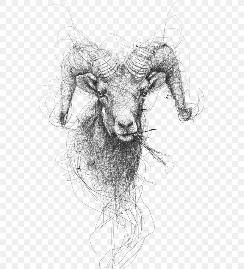 Drawing Sheep Pencil Illustration, PNG, 564x901px, Drawing, Animal, Art, Artwork, Black And White Download Free