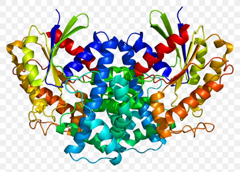 GNA12 Heat Shock Protein 90kDa Alpha (cytosolic), Member A1 Hsp90, PNG, 943x678px, Watercolor, Cartoon, Flower, Frame, Heart Download Free