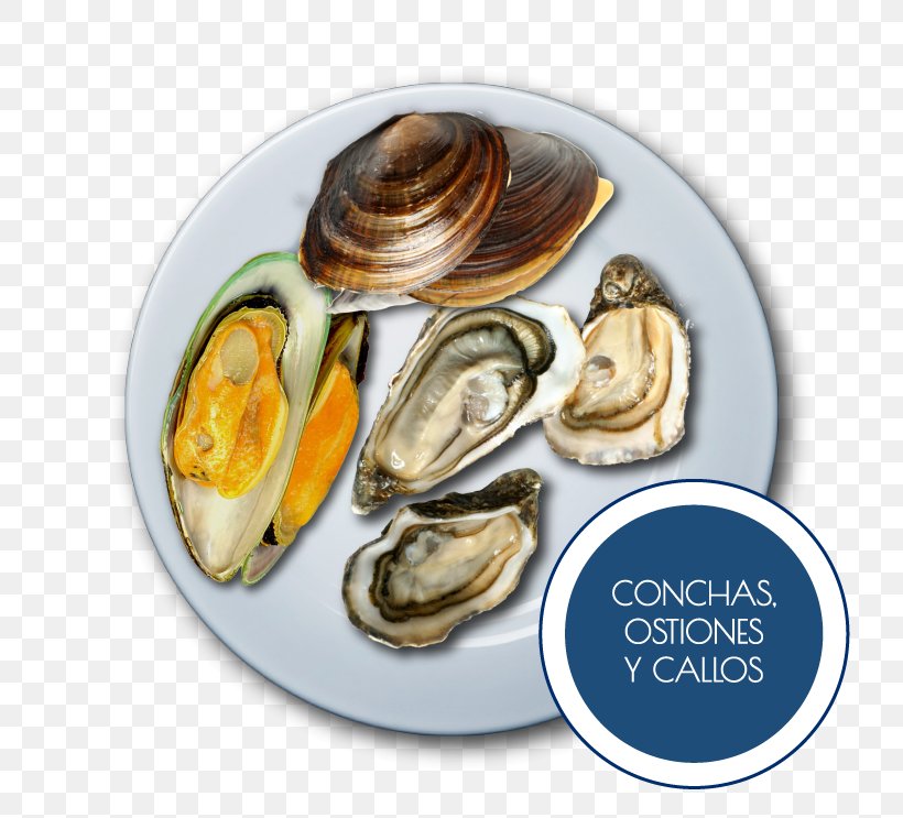 CLAM Latin American School Mexico Punto Del Mar Mussel Avenida Andrés Molina Enríquez, PNG, 756x743px, Clam, Animal Source Foods, Clams Oysters Mussels And Scallops, Com, Food Download Free