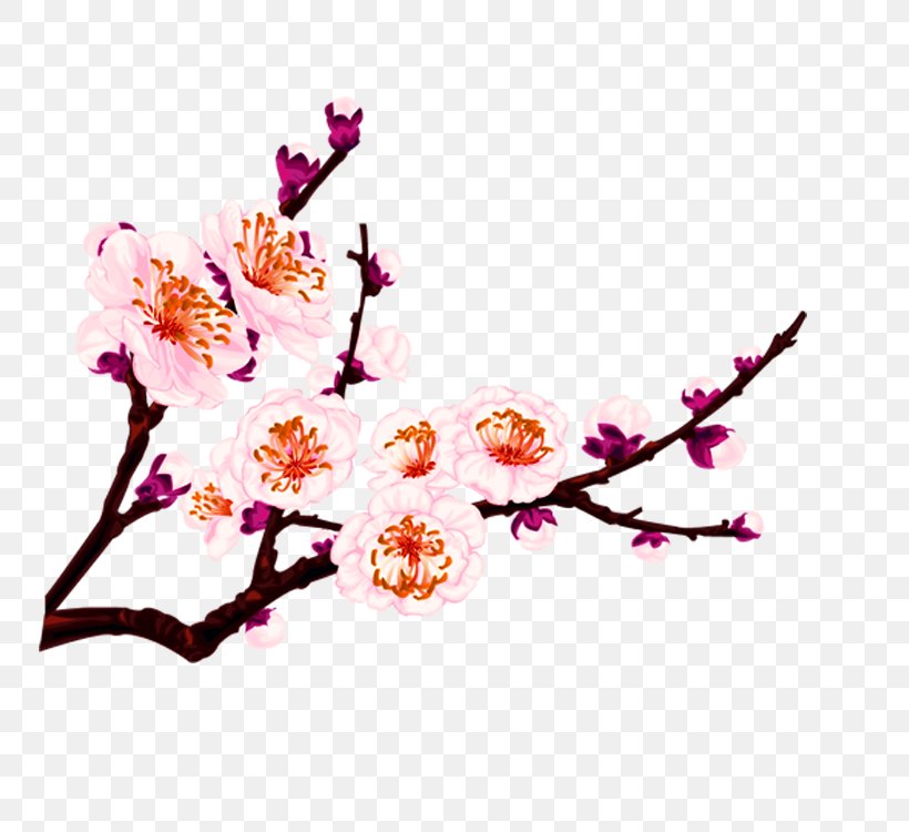 Flower Cdr Adobe Illustrator, PNG, 750x750px, Flower, Art, Blossom, Branch, Cdr Download Free