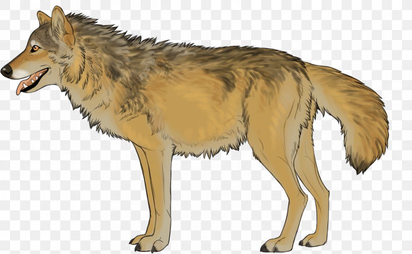 Kunming Wolfdog Coyote Red Wolf Jackal, PNG, 2382x1475px, Kunming Wolfdog, Animal, Carnivoran, Coyote, Dog Like Mammal Download Free