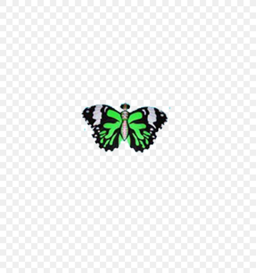 Nymphalidae Butterfly Green Pattern, PNG, 650x876px, Nymphalidae, Brush Footed Butterfly, Butterfly, Green, Insect Download Free