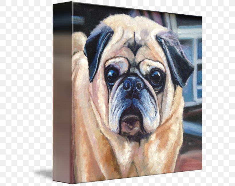 Pug Toy Bulldog Dog Breed Companion Dog, PNG, 606x650px, Pug, Breed, Bulldog, Carnivoran, Companion Dog Download Free
