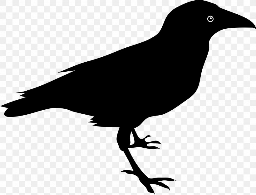 The Raven Common Raven Clip Art, PNG, 2400x1834px, Raven, American Crow, Baltimore Ravens, Beak, Bird Download Free