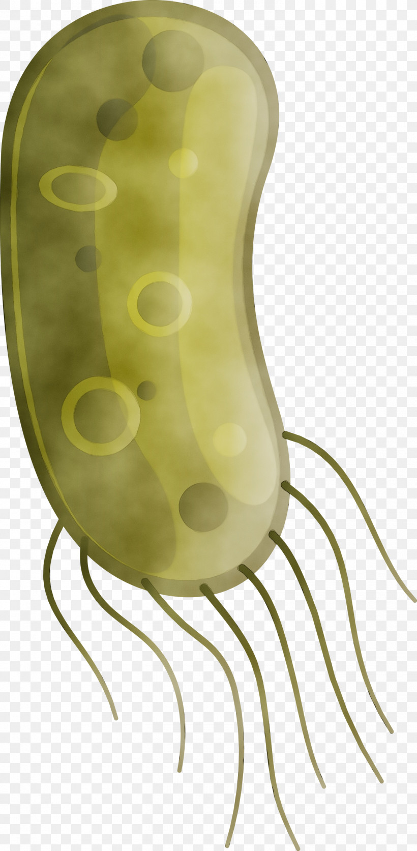 Yellow Plant Nepenthes, PNG, 1470x3000px, Coronavirus, Corona, Covid, Nepenthes, Paint Download Free