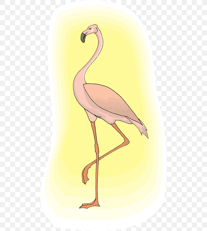 Bird Greater Flamingo Clip Art Flamingos, PNG, 500x914px, Bird, Animal, Art, Beak, Crane Like Bird Download Free