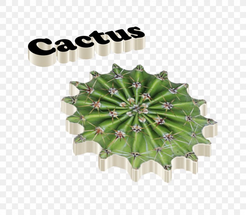 Cactaceae Logo, PNG, 1161x1019px, Cactaceae, Display Resolution, Logo, Name, Tree Download Free