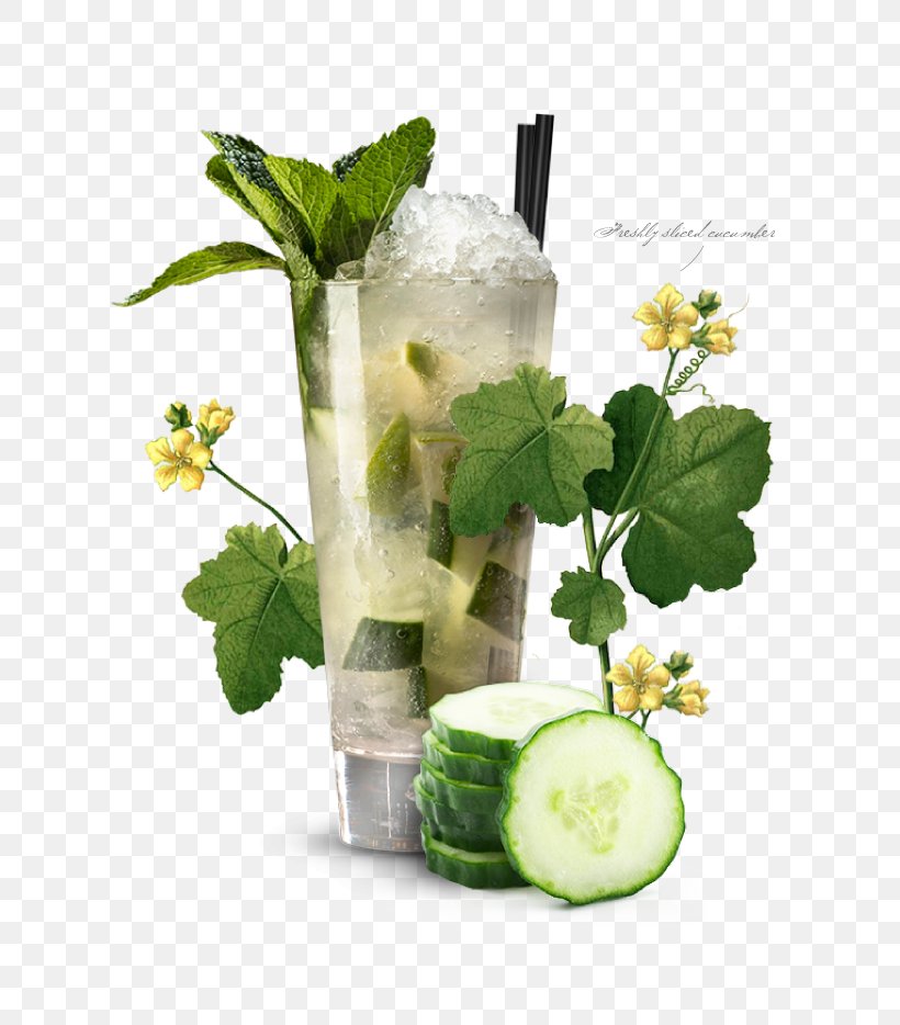 Mojito Gin And Tonic Cocktail Garnish, PNG, 660x934px, Mojito, Alcoholic Drink, Cocktail, Cocktail Garnish, Cucumber Download Free