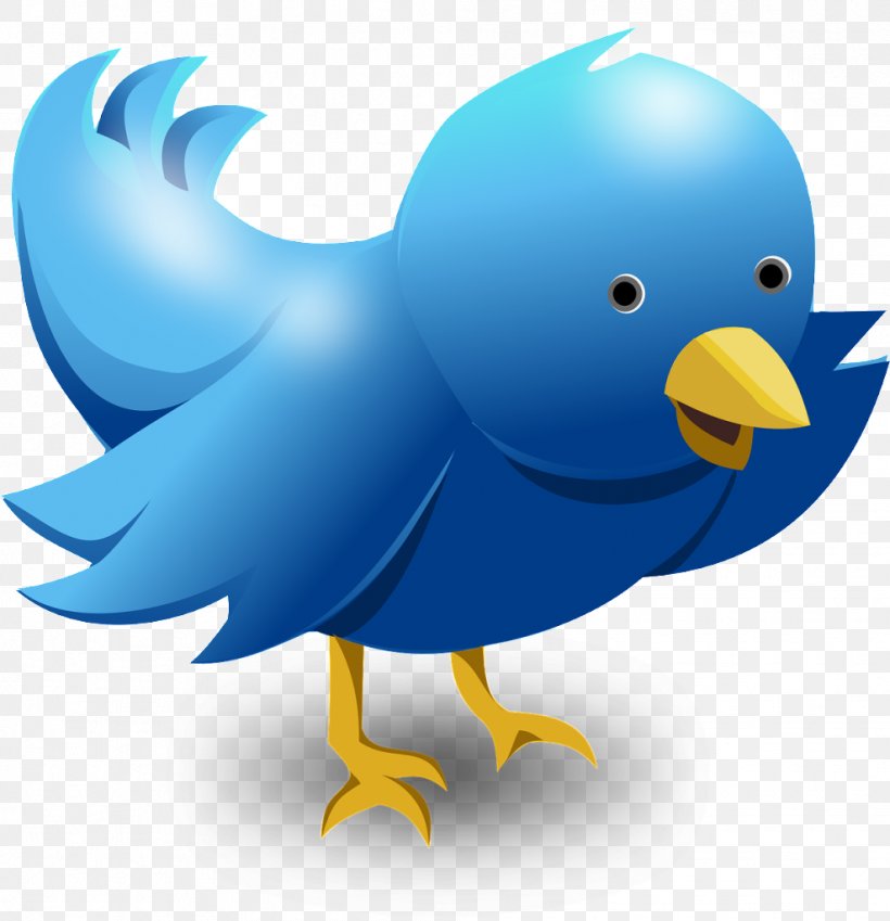 Social Media Logo, PNG, 988x1024px, Social Media, Beak, Bird, Blog, Chicken Download Free