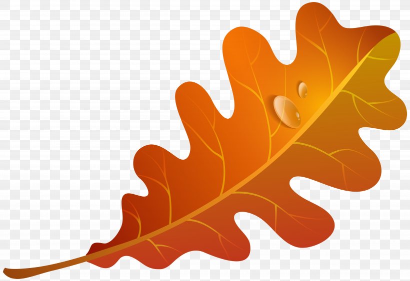 Autumn Leaf Color Orange Clip Art, PNG, 5000x3439px, Leaf, Autumn, Autumn Leaf Color, Green, Maple Leaf Download Free