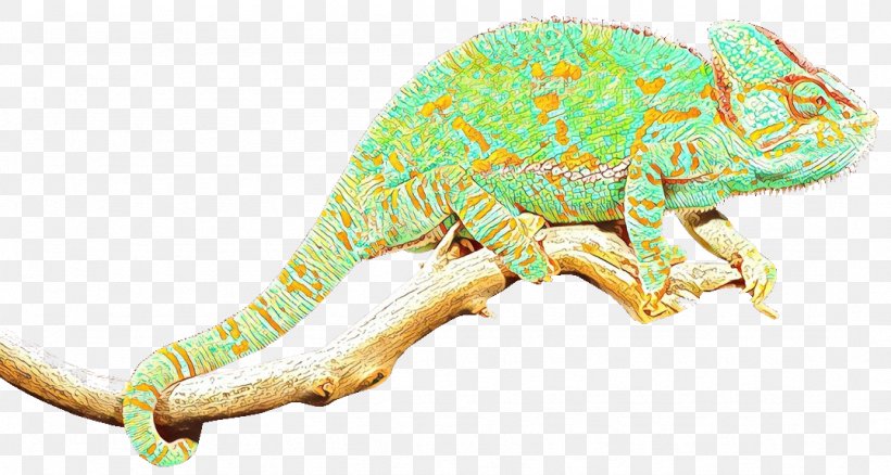 Chameleons Iguanas Insect Fauna Terrestrial Animal, PNG, 1076x576px, Chameleons, Animal, Animal Figure, Chameleon, Common Chameleon Download Free