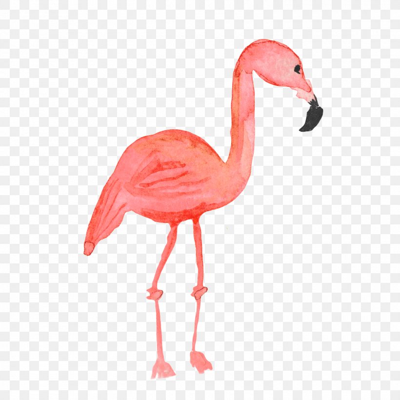 Flamingos Common Ostrich Bird, PNG, 1500x1500px, Crane, Beak, Bird, Common Ostrich, Drawing Download Free