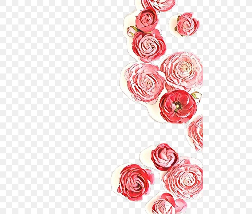 Garden Roses, PNG, 500x699px, Cartoon, Cut Flowers, Flower, Garden Roses, Pink Download Free