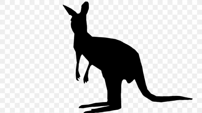 Kangaroo Royalty-free Vector Graphics Stock Photography Illustration, PNG, 1920x1080px, Kangaroo, Blackandwhite, Macropodidae, Mammal, Marsupial Download Free