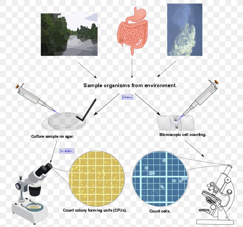 Microbial Ecology Microorganism Microbial Population Biology Biomass, PNG, 768x768px, Microbial Ecology, Bacteriology, Biofilm, Biology, Biomass Download Free