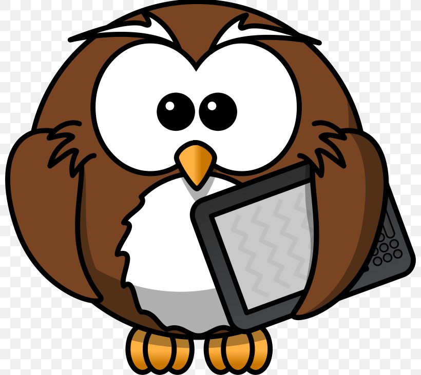 Owl Cartoon Clip Art, PNG, 800x731px, Owl, Artwork, Barn Owl, Beak, Bird Download Free