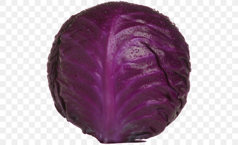 Red Cabbage Coleslaw Vegetable Cauliflower, PNG, 500x500px, Red Cabbage, Brassica Oleracea, Cabbage, Cauliflower, Coleslaw Download Free