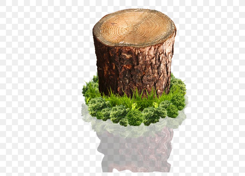 Wood Tree Stump, PNG, 591x591px, Wood, Flowerpot, Grass, Raster Graphics, Rgb Color Model Download Free