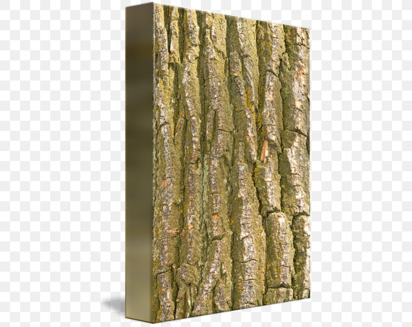 Birch Wood Trunk /m/083vt Bark, PNG, 427x650px, Birch, Bark, Birch Family, Camouflage, Greeting Note Cards Download Free