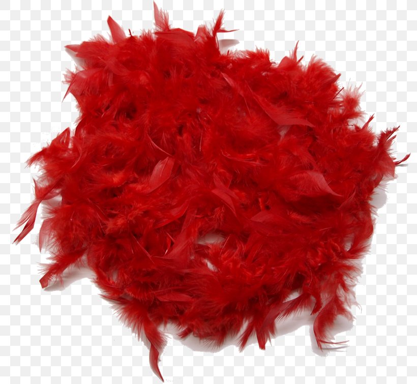 Feather Boa Clothing Accessories PhotoScape, PNG, 800x755px, Feather Boa, Blog, Centimeter, Clothing Accessories, Computer Network Download Free