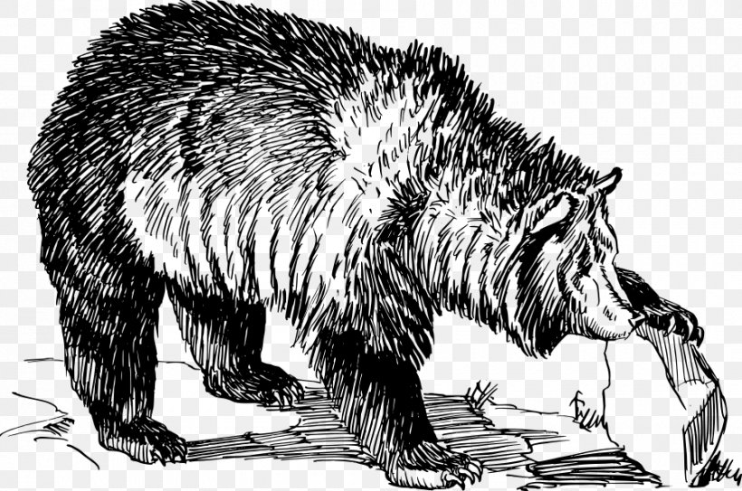 Grizzly Bear American Black Bear Drawing Line Art, PNG, 900x597px, Bear, Adaptation, American Black Bear, Art, Brown Bear Download Free