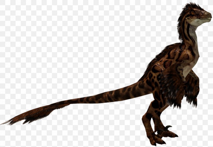 Velociraptor Tyrannosaurus Fauna Feather Beak, PNG, 900x620px, Velociraptor, Animal, Beak, Dinosaur, Extinction Download Free