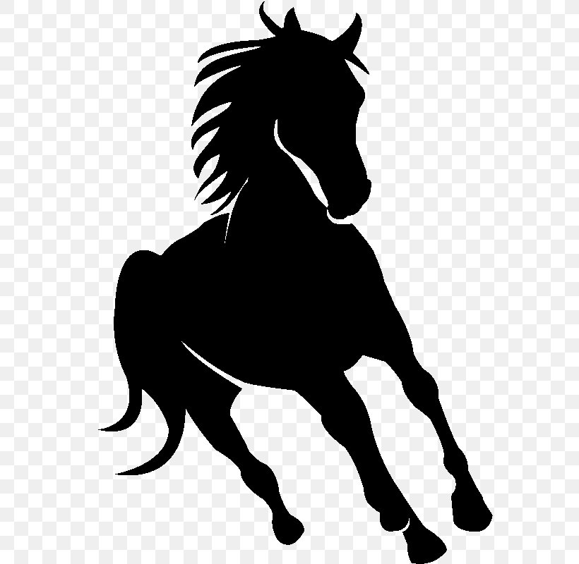 Arabian Horse Friesian Horse Silhouette Drawing, PNG, 800x800px, Arabian Horse, Black, Black And White, Bridle, Colt Download Free