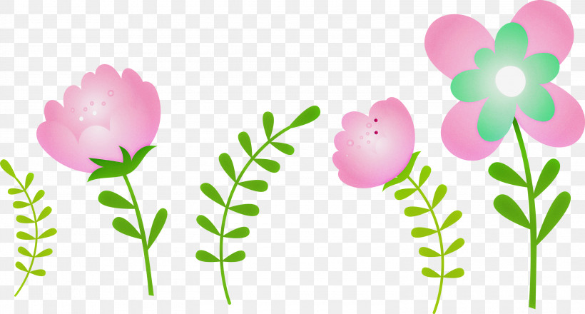 Pink Flower Plant Pedicel Petal, PNG, 3000x1610px, Spring Flower, Cartoon, Flower, Herbaceous Plant, Pedicel Download Free