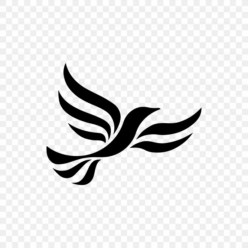 Portsmouth Liberal Democrats Ipswich Liberal Democrats Liberalism Scottish Liberal Democrats, PNG, 4096x4096px, Portsmouth Liberal Democrats, Beak, Bird, Black, Black And White Download Free