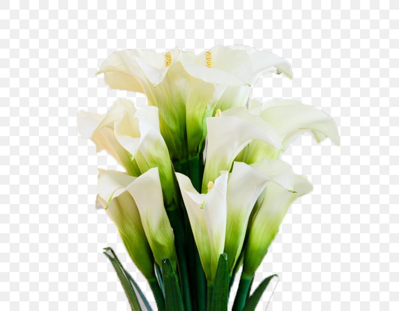 Arum-lily Flower Floristry, PNG, 640x640px, Arumlily, Artificial Flower, Callalily, Cut Flowers, Floral Design Download Free