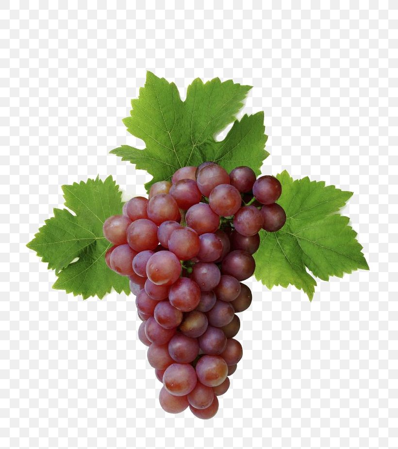 Grapevines Desktop Wallpaper High-definition Television Display Resolution, PNG, 722x924px, Grape, Computer, Display Resolution, Food, Fruit Download Free